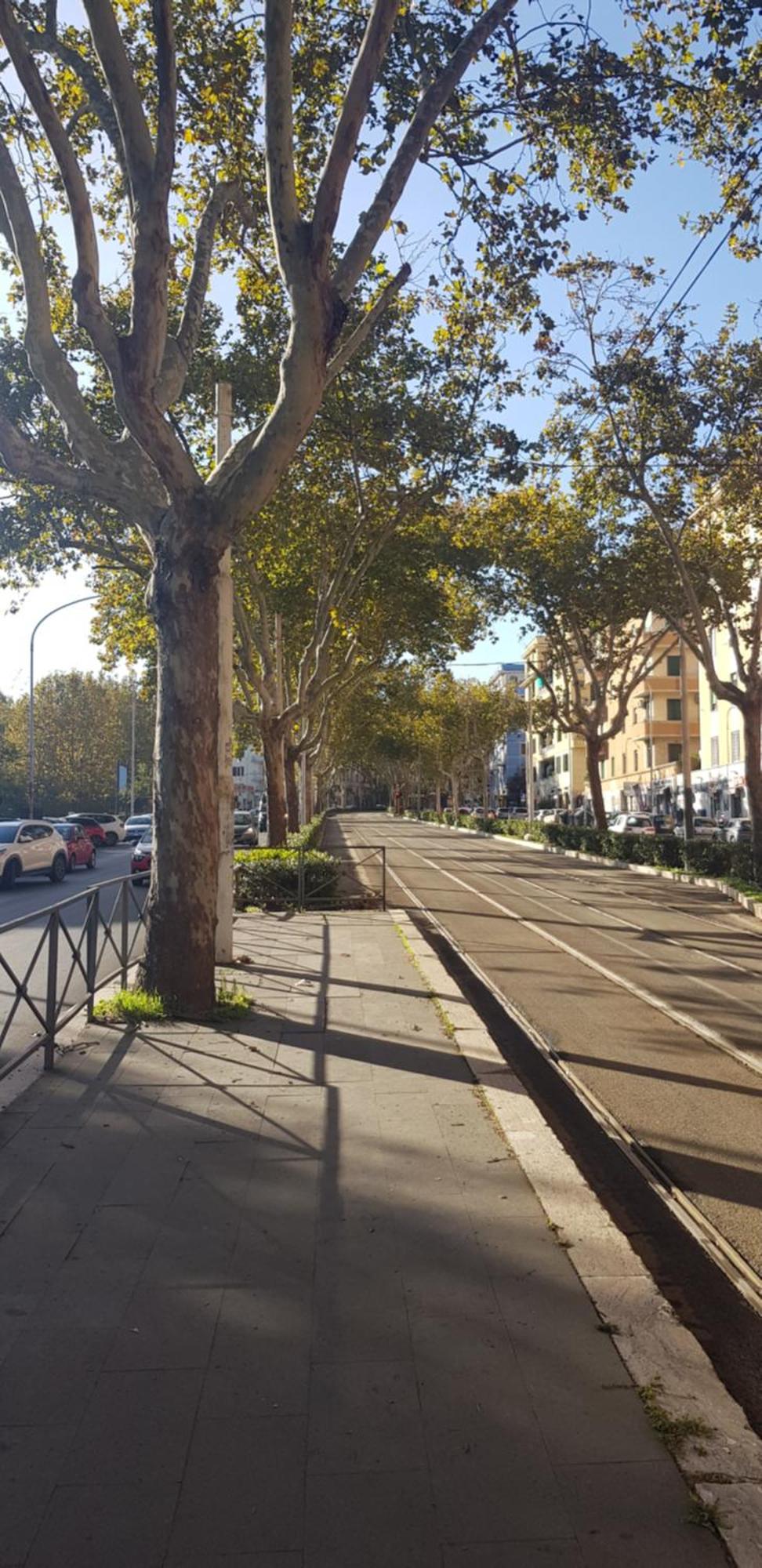 Trastevere Residenze Rom Exterior foto